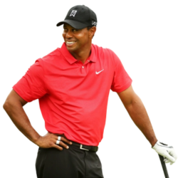 Tiger Woods 5 Questions Quiz