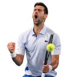 Novak Djokovic 5 Questions Quiz